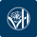 Vletter & Den Haan APK