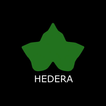 Hedera by Markman