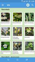 برنامه‌نما Alpen App - Alpenbloemen van d عکس از صفحه