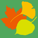 Bomen App - Arboretum Assen met beleefpad aplikacja