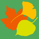 Bomen App - Arboretum Assen met beleefpad APK