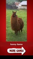 The Llama Song capture d'écran 1