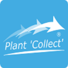 Plant Collect icône
