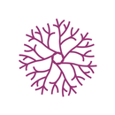 Reconcept Portfolio Neurologie APK