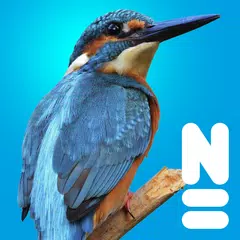 download Vogels van Europa APK