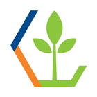 Agrofoodcluster icon