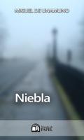 NIEBLA الملصق