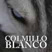 COLMILLO BLANCO - LIBRO GRATIS