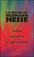 LO MEJOR DE HERMANN HESSE plakat