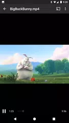 Cast Video for Chromecast APK download