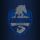 Selwyn United Football Club icône