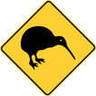 Kiwi Bug
