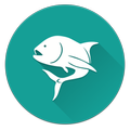 Best Fish Guide