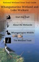 NWT: Whangamarino Trail Guide ポスター