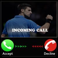 Prank Djokovic Call постер