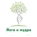 Йога и мудра APK