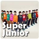 Super Junior (KPopLive) APK