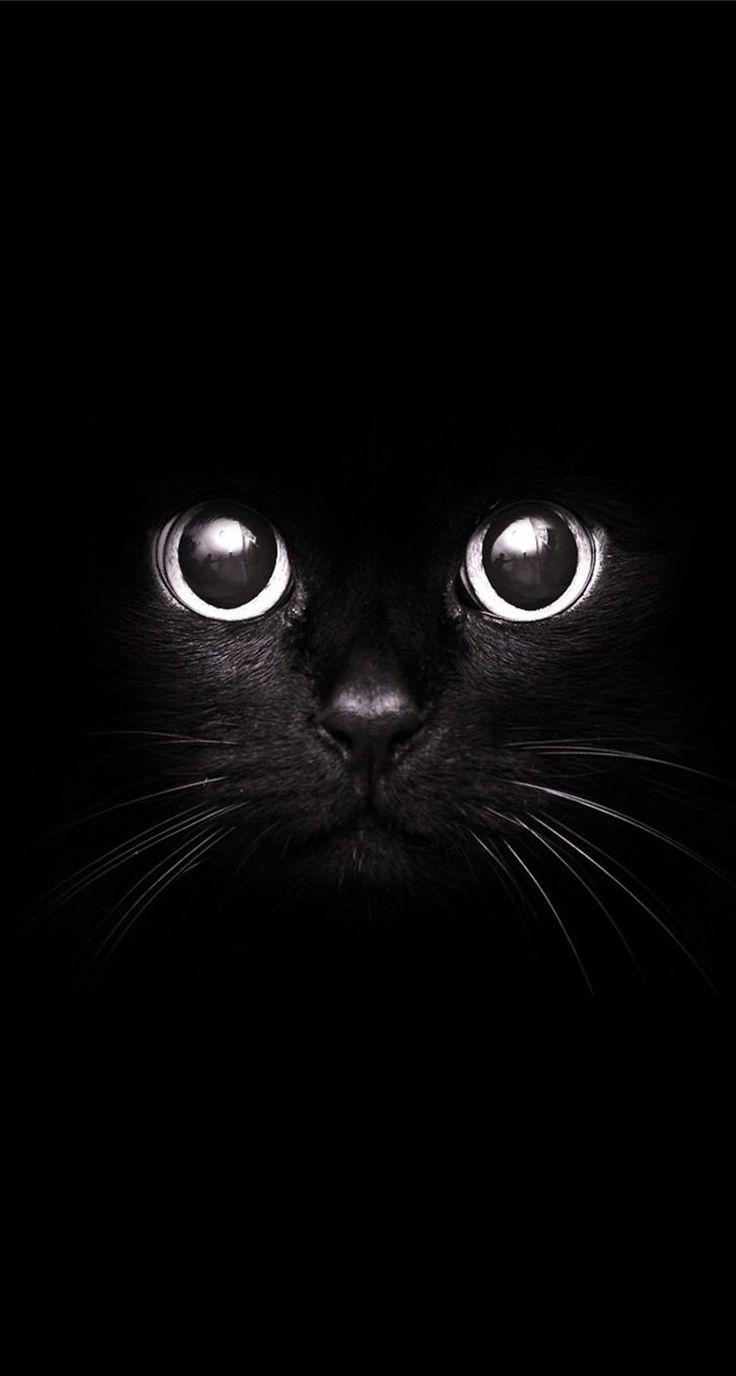 black wallpapers and lockscreen hd APK for Android Download black wallpapers and lockscreen hd APK for Android Download