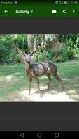 Garden Ornaments syot layar 2