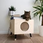Indoor Cat House آئیکن