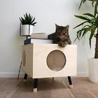 ikon Indoor Cat House