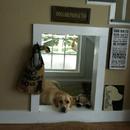 Indoor Dog House APK