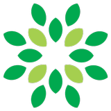 Acacia Energy أيقونة