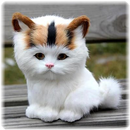 Jigsaw puzzle - cute cats APK