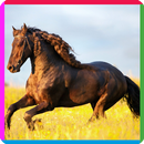 puzzle game horse-APK