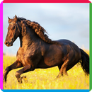 puzzle game horse APK