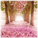 Jigsaw puzzles: dreamworld APK