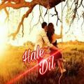 Hale  Dil
