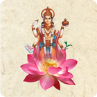 Ayurved Amrit icon