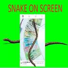 Snake On Screen ;Python Hissing ;Prank icono