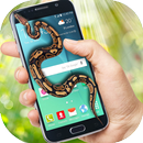 Snake in phone screen hissing Serpent Scary joke APK
