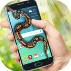 Snake in phone screen icône