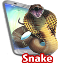Snake On Screen -guide to snake in phonescreen app APK