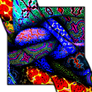 APK Snakes Video Wallpaper Pro