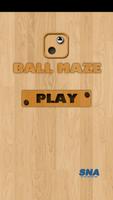 Maze Ball-poster