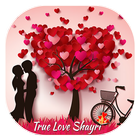 True Love Shayari icono
