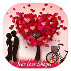 True Love Shayari icône