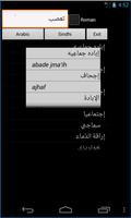 Sindhi Arabic Dictionary Affiche
