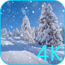 تساقط الثلوج خلفية فيديو بدق4K APK