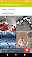 Snow Wolf And Bird HD FREE Wallpaper 스크린샷 1