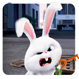 Snowball Banny Avrenture 3