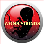 Womb Sounds