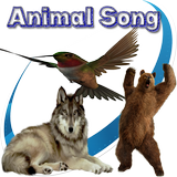Animal Song icône