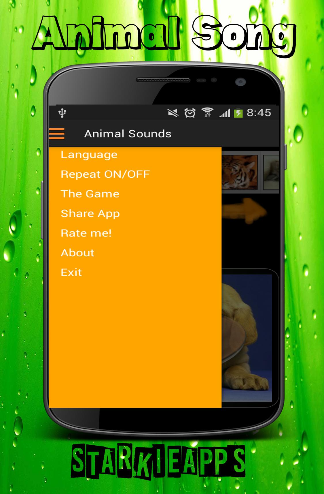 Animal Song APK for Android Download Animal Song APK for Android Download