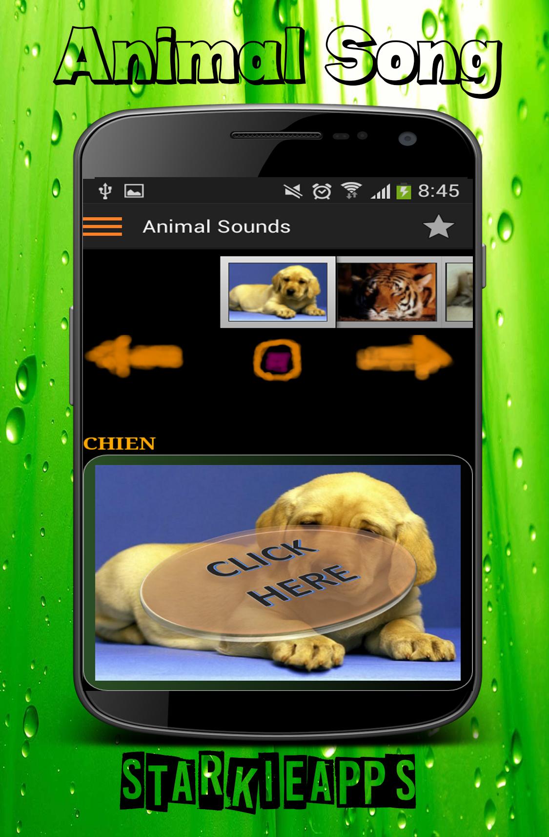 Animal Song APK for Android Download