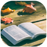 Biblia Ayuda App simgesi